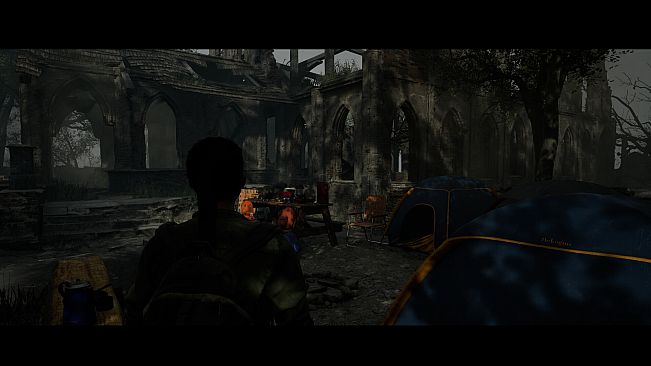 Ashen Vale: Where They Fell