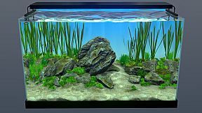 Behind Glass: Aquarium Simulator