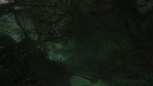 The Cursed Forest