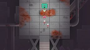 MARGO - On the Brink