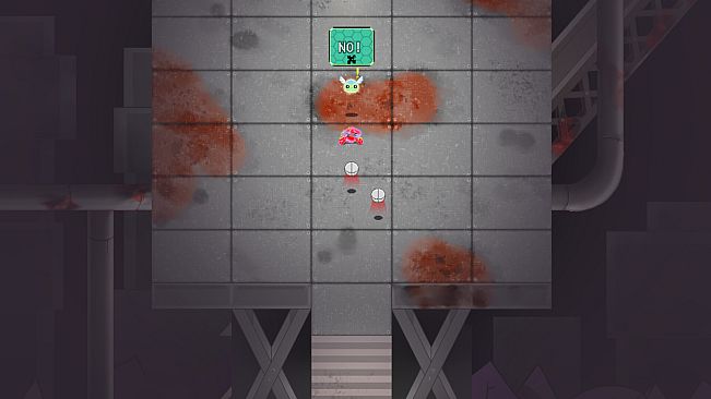 MARGO - On the Brink