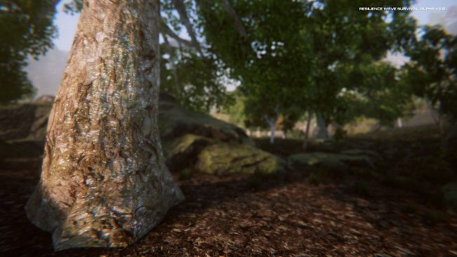 Resilience Wave Survival