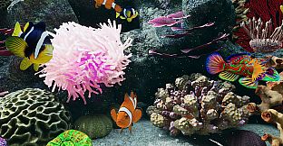 Sea Aquarium Screensaver