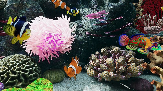 Sea Aquarium Screensaver