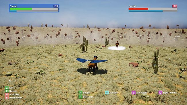 Ancings: The First Tournament