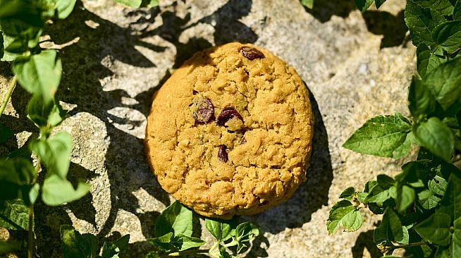 Cookie Clicker Soundtrack