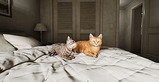 The Cabin Factory - Supporters Pack