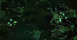 RADical ROACH: Infinity