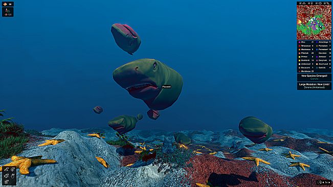 Ecosystem - Tropical Fish Pack