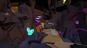 SONDER: Embrace The World