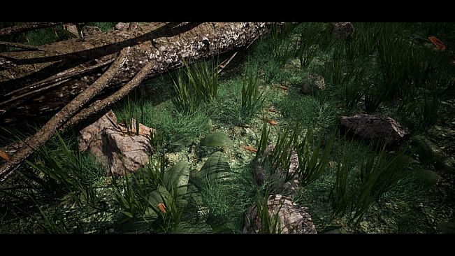 Soilborn: Ant Empire