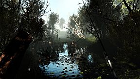 Professional Fishing