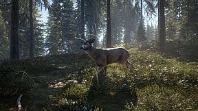 theHunter: Call of the Wild