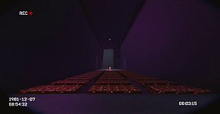 VOID81: The Backrooms