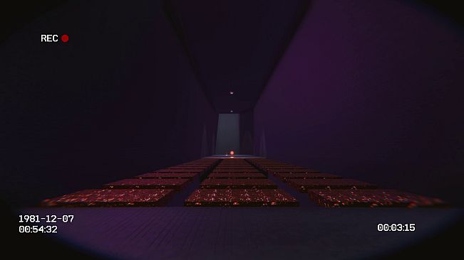 VOID81: The Backrooms