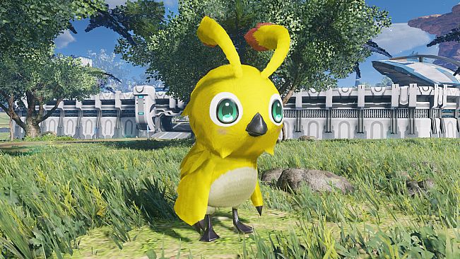 PSO2:NGS - Beginners! Rappy Pack