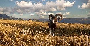 theHunter: Call of the Wild - Cuatro Colinas Game Reserve