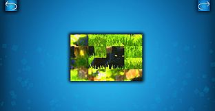 PUZZLE: CATS & DOGS - Puzzle Pack: Summer Cats