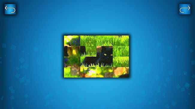 PUZZLE: CATS & DOGS - Puzzle Pack: Summer Cats