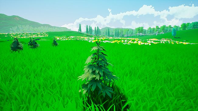 Weed Simulator