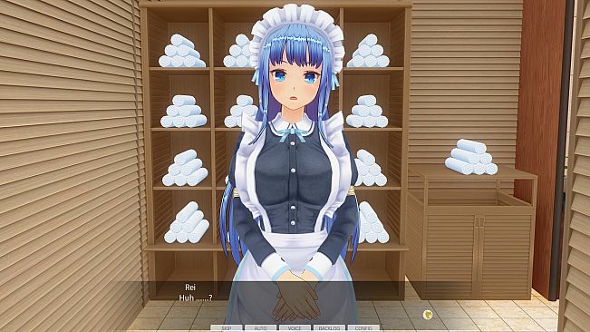 CUSTOM ORDER MAID 3D2&2.5+ X1+Vol.02
