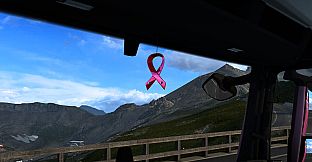 Euro Truck Simulator 2 - Pink Ribbon Charity Pack