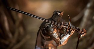 Lords of the Fallen - Dark Crusader Starting Class