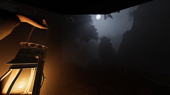 They are in the Trees