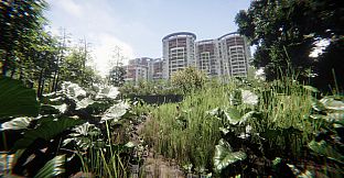 自梳：消逝的姑婆屋 Self-Comb Women: Home Left Behind