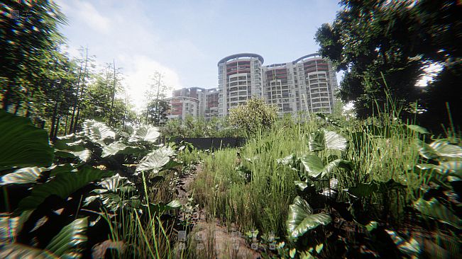 自梳：消逝的姑婆屋 Self-Comb Women: Home Left Behind