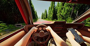 Rally with a Friend