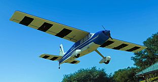 RealFlight Evolution - 2024 Year Content Pass