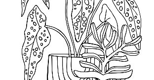 Plant Therapy Coloring Book