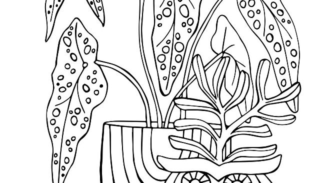 Plant Therapy Coloring Book