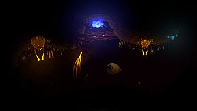 Evolution From the little light