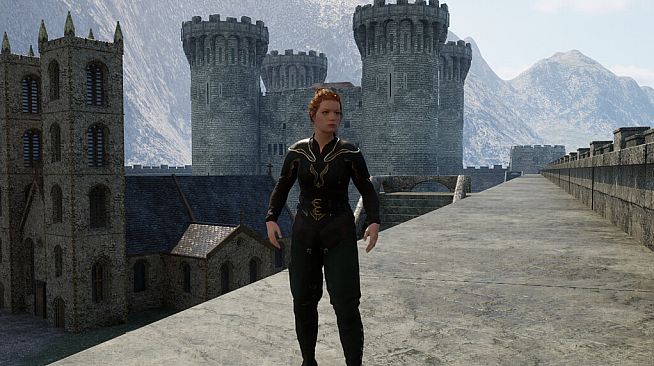 Medieval Life: Chronicles Of Annora