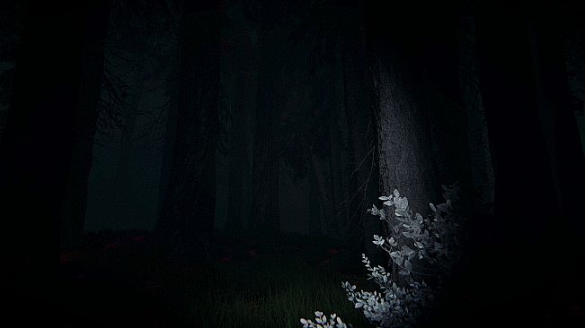 Shroud of the Woods