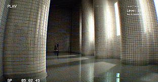 Level 37: The Ritewood Anomaly