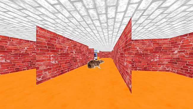3D Maze 95