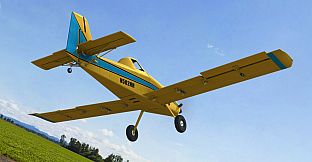 RealFlight Evolution - 2024 Year Content Pass