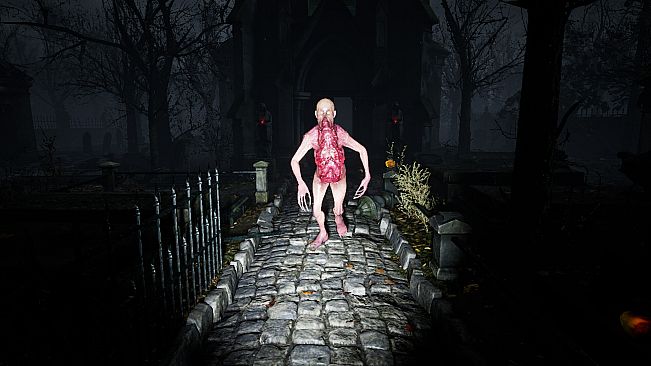 Feel the Fear Around