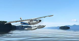 RealFlight Evolution - 2023 Year Content Pass