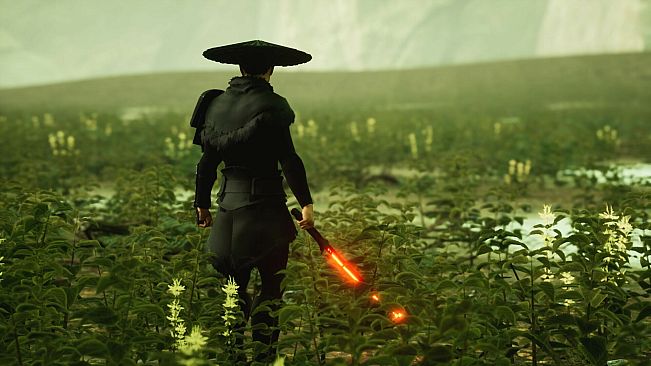 Ninja Resurrection: A tale of Kuro