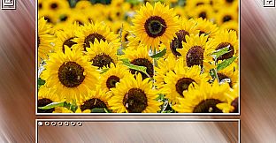 Super Jigsaw Puzzle: Generations - Flowers Puzzles