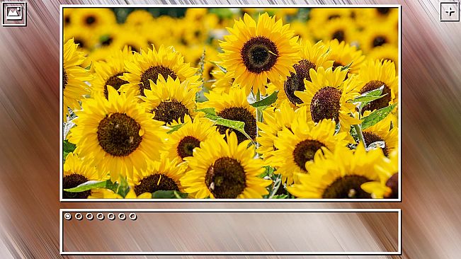 Super Jigsaw Puzzle: Generations - Flowers Puzzles