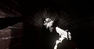 CAGE-FACE | Case 2: The Sewer