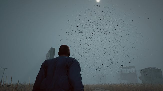 Abnormal1999:Sector 49