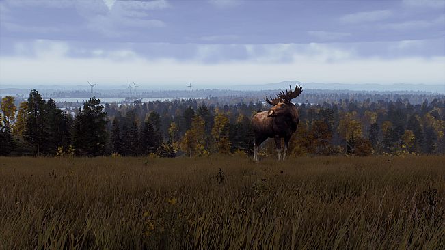 Way of the Hunter - Map Pack 2