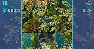 Puzzle Seahorses