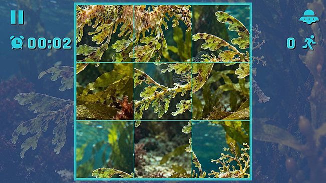 Puzzle Seahorses